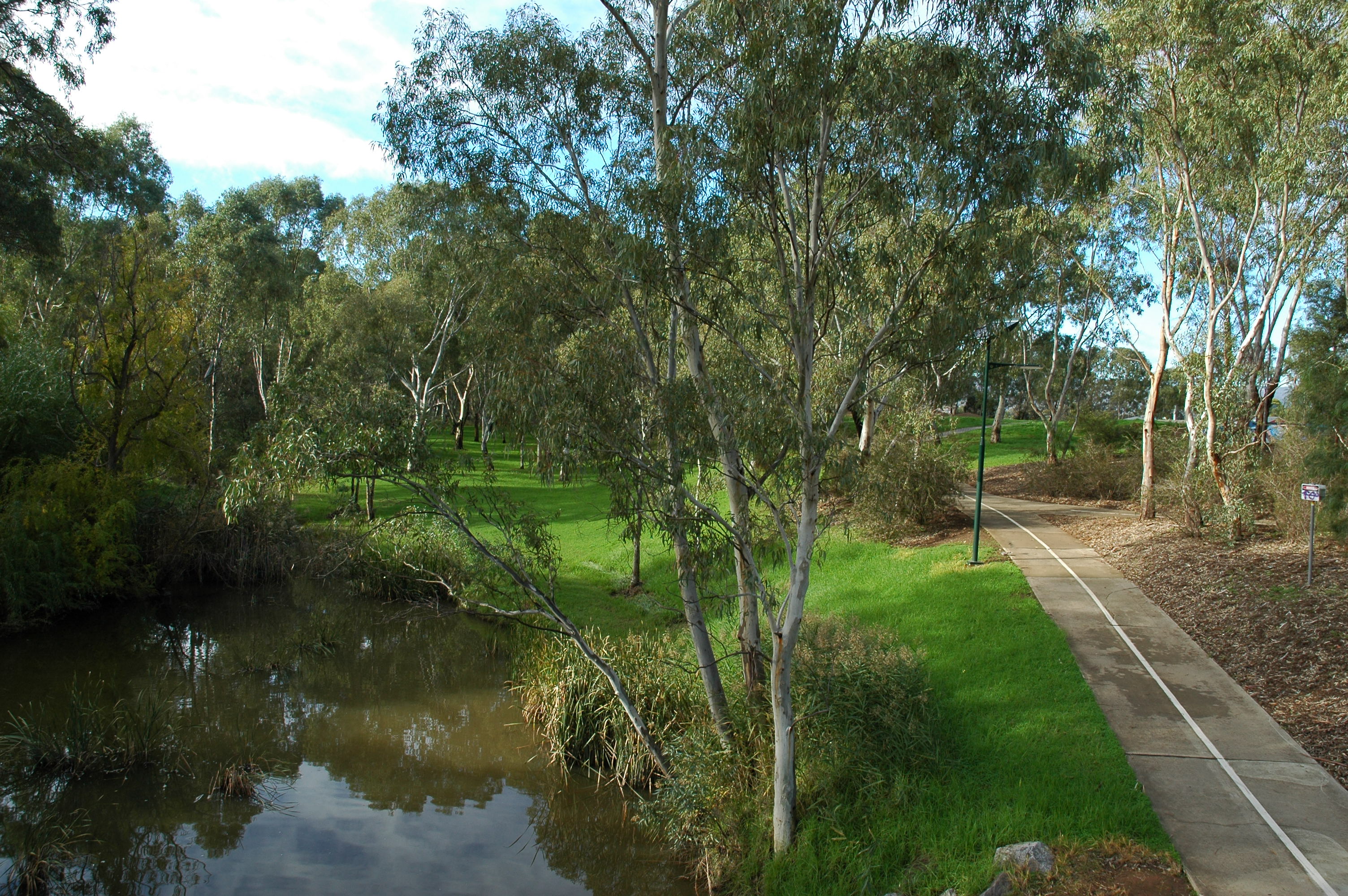 River Torrens Linear Park Trail