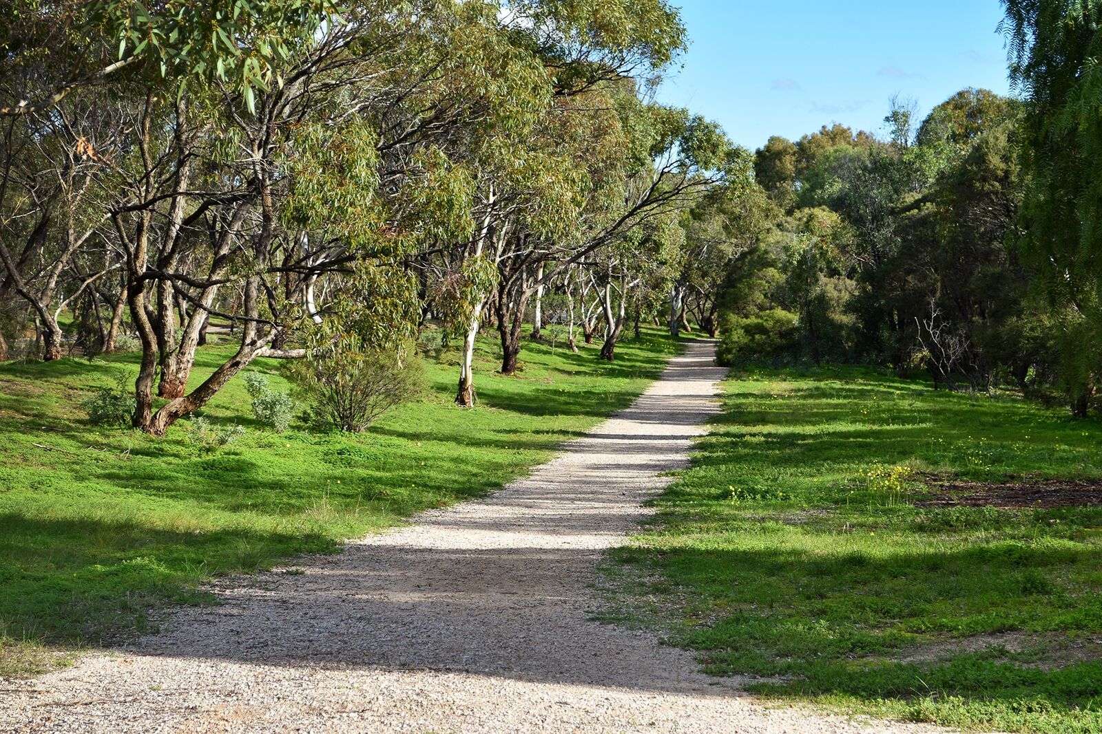 Cobbler Creek Recreational Park
