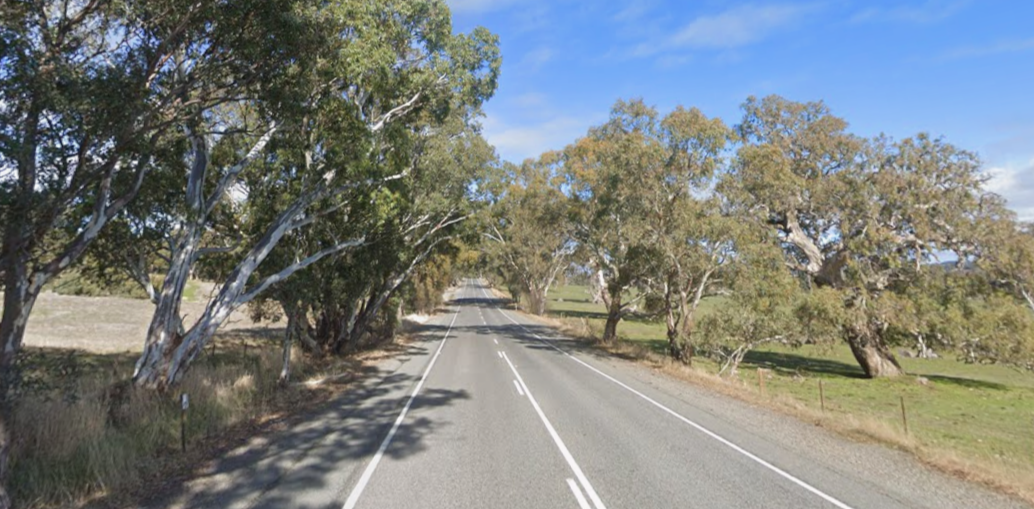 The Lavender Cycling Trail