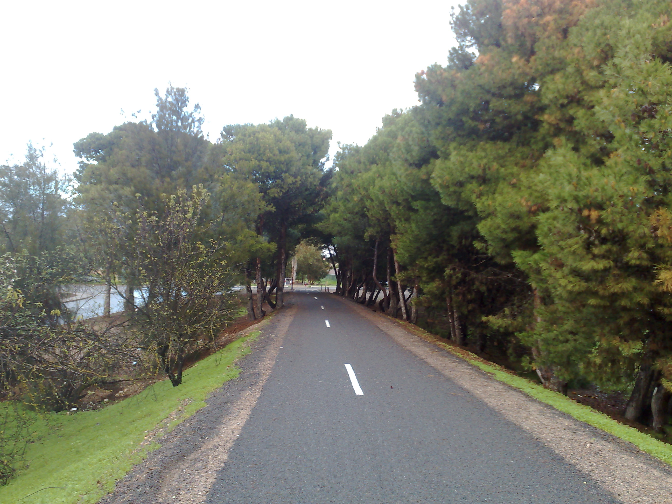 Coast to Vines Rail Trail